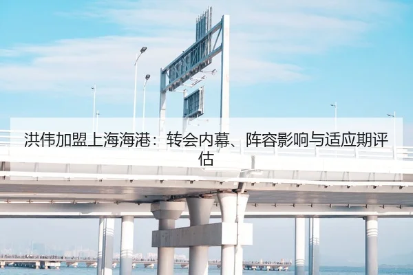 洪伟加盟上海海港：转会内幕、阵容影响与适应期评估